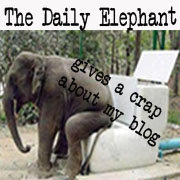 the-daily-elephant-contest2